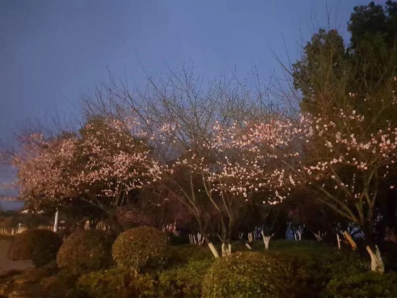 手拍世界,手拍世界近期作品