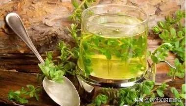 人参九宝茶的功效和禁忌,凤凰单枞茶的功效与禁忌