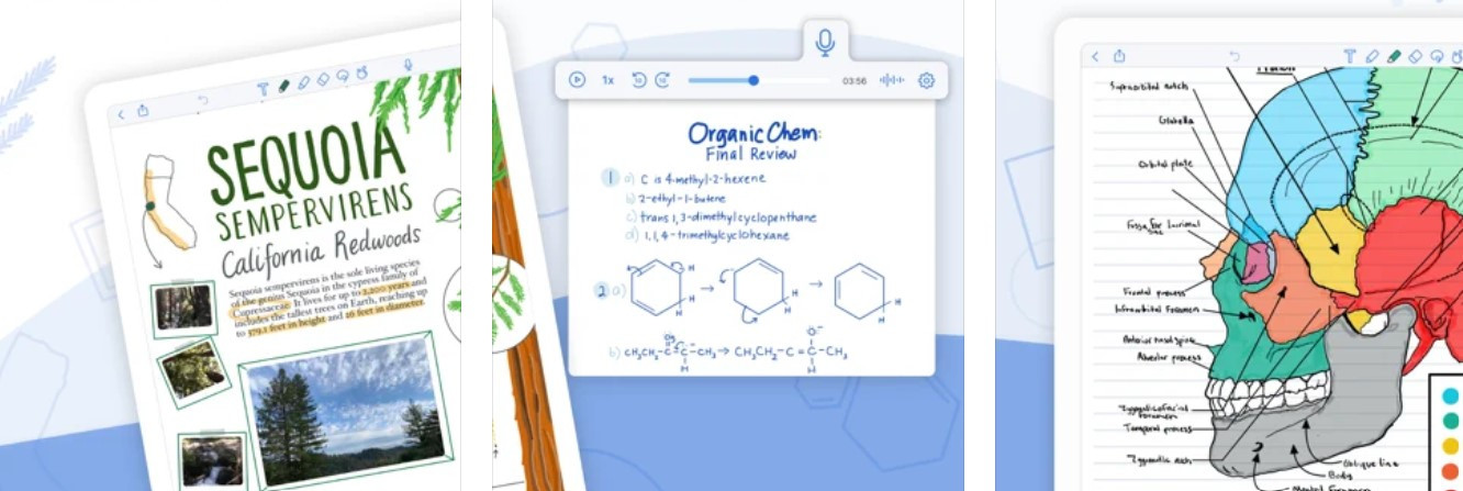 ipadnotability主题使用方法,ipad笔记软件notability收藏夹