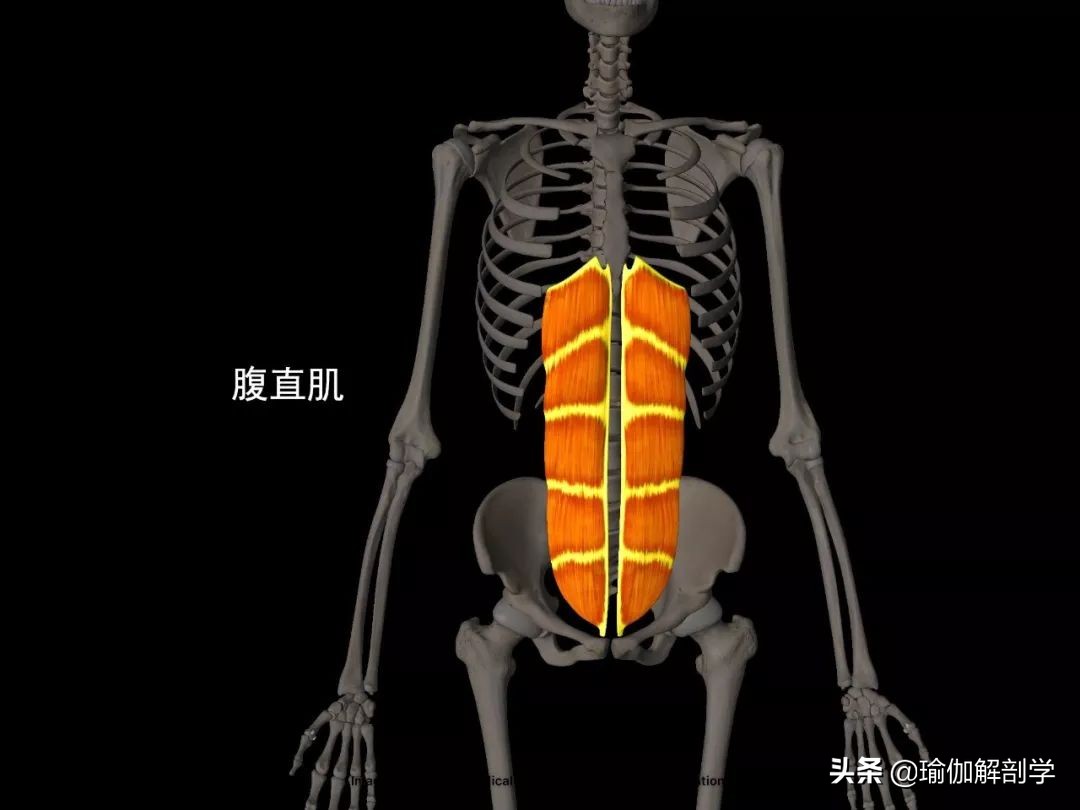 简单的瘦腰瑜伽动作视频教程,躺着双脚合并内扣的瑜伽动作