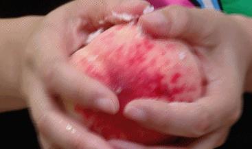 洗桃子去桃毛的好办法,如何快速去除桃子的毛