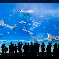 日本大阪旅游景点大全排名榜,亲子游日本