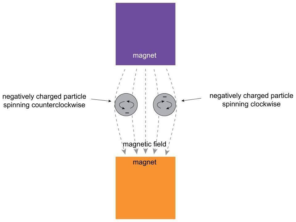 小小电子屏发挥大作用,小小电子公司