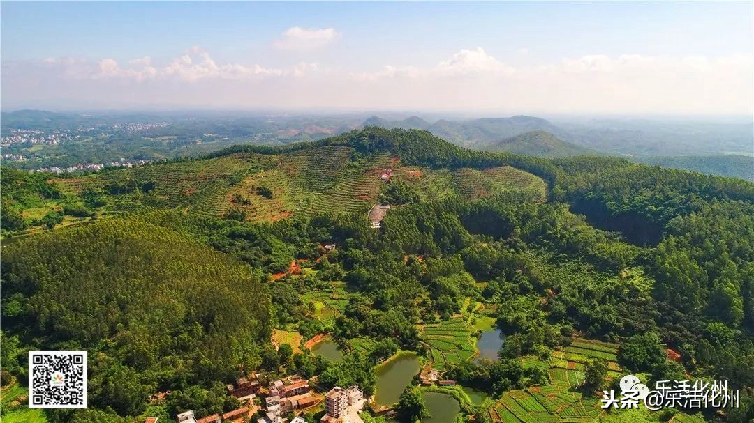 这里被称为化州之镇山，高空航拍气势非凡，历代地师推崇备至