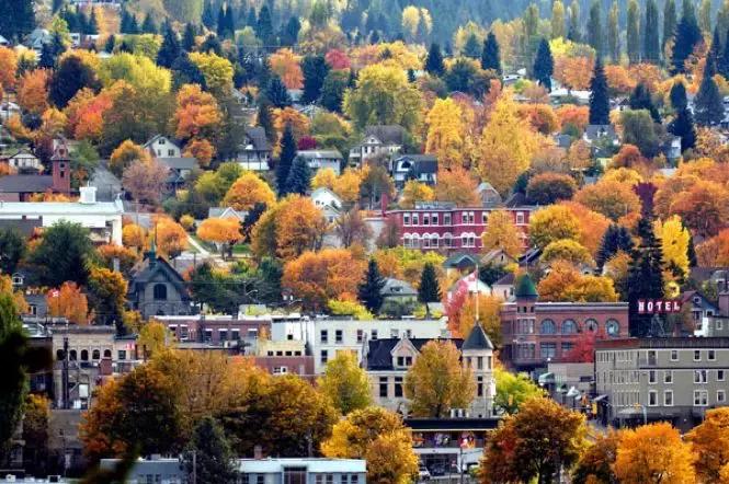 加拿大100万能买什么房,上海一套房在加拿大能买多大