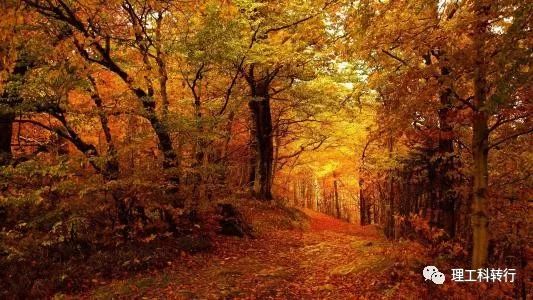 电气测控专业就业前景,电气相关专业就业前景