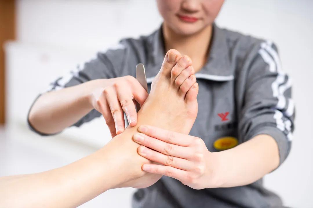 郑远元全国分公司有多少家,全国有多少郑远元集团