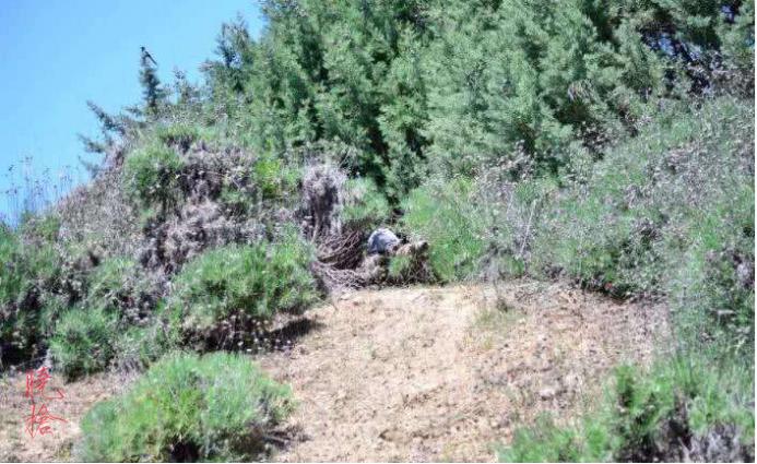 如何擒拿俘虏,怎么俘虏城池