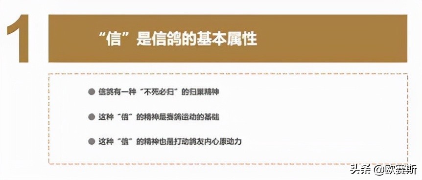 鍝佺墝鎴樼暐宸ュ叿,鍝佺墝鎴樼暐涓冪姝﹀櫒