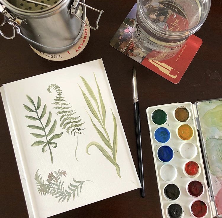 自学水彩的两年里都画了些什么,自学水彩教程书