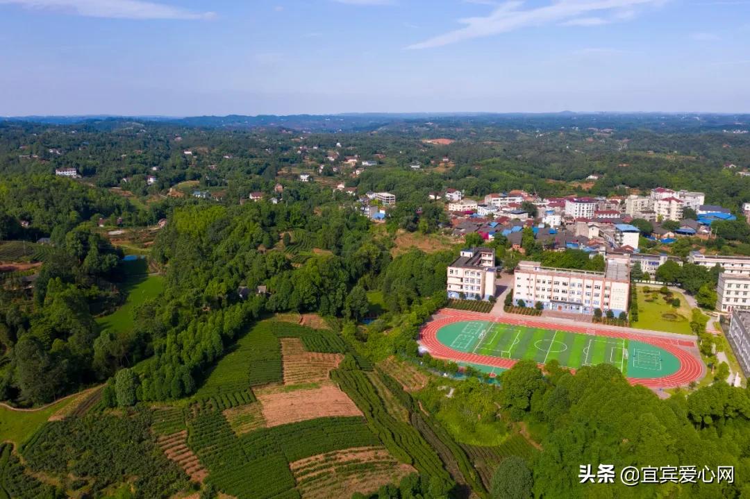 航拍青山绿水震撼风景竖屏视频,震撼校园秋景航拍