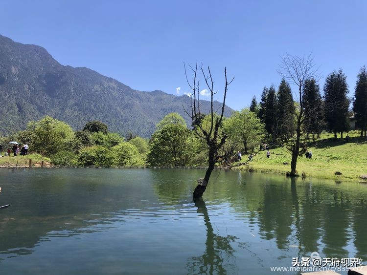 中国百慕大黑竹沟了解一下,穿越黑竹沟揭秘中国百慕大