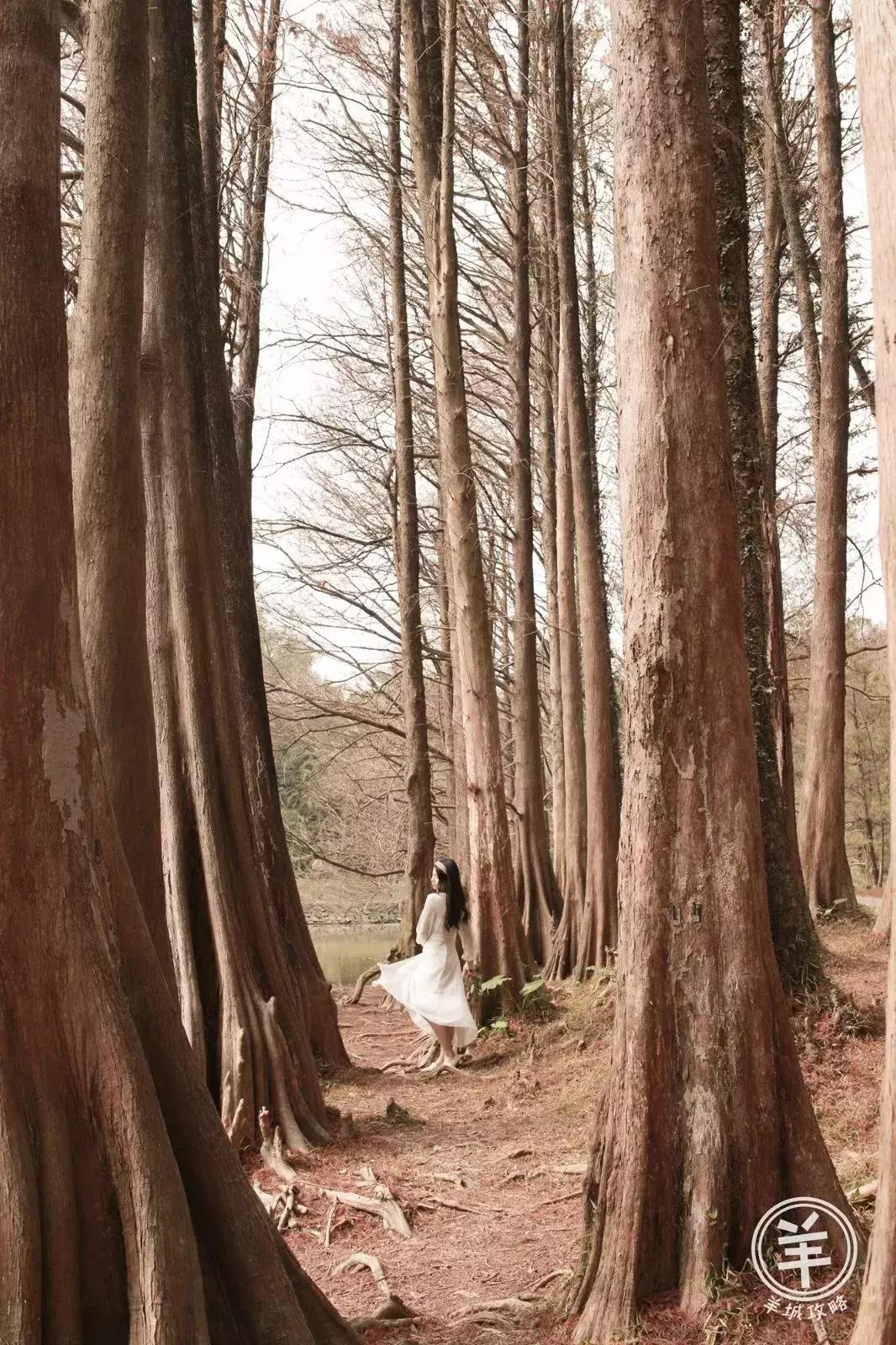 38女神节广州有哪些免费景点,38妇女节广州免票景点