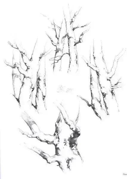 中学生20分钟风景速写临摹图片,速写风景怎么画得又快又好