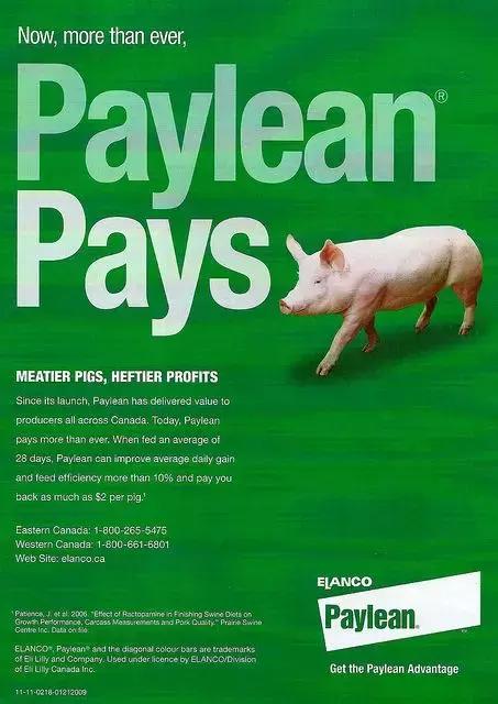 不合格的猪肉,检疫不合格的进口肉类怎么处理