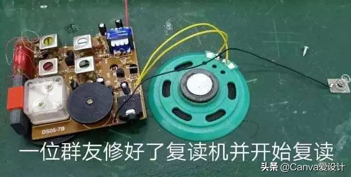 最新野生文案大全,看野生动物发的文案