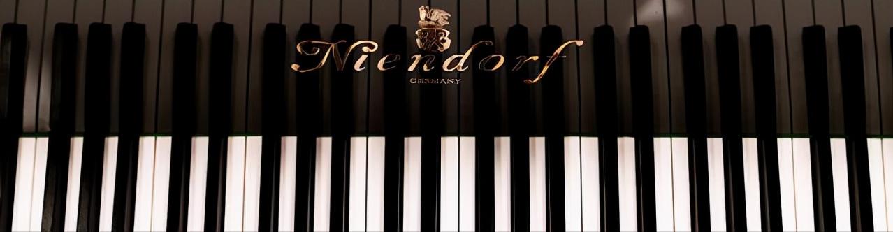 天津钢琴品牌选购攻略,天津买钢琴什么品牌好