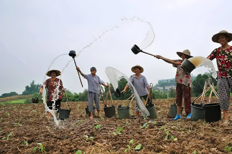 农村包地10亩每亩500元能赚钱吗,农村包地1000亩利润与开支