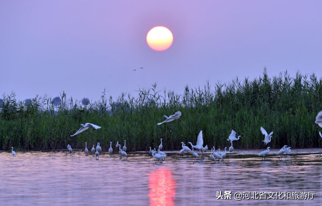 动听河北|这片湖被称作“东亚蓝宝石”，竟是禹王治水留下的“禹迹”！