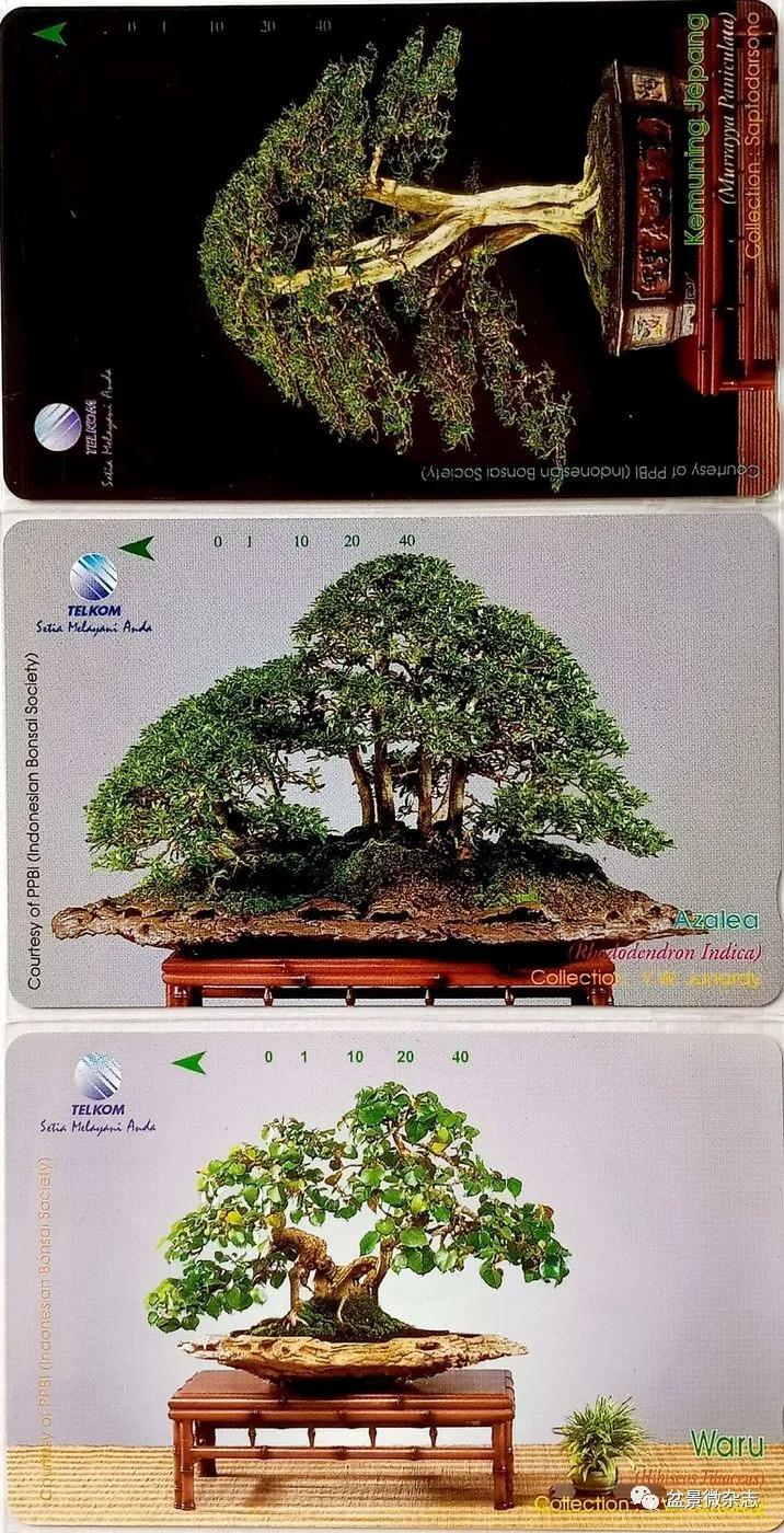 鐩嗘櫙鑱旂郴鐢佃瘽,鐩嗘櫙鑱旂郴鐢佃瘽鍙风爜