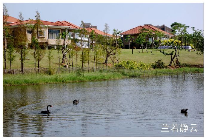 厦门国家会计学院校园,厦门国家会计学院漂亮吗