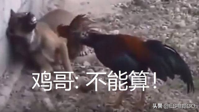 刀圈二三事：PIS隐藏身份带May皇躺赢；EHOME再起波澜前途未卜