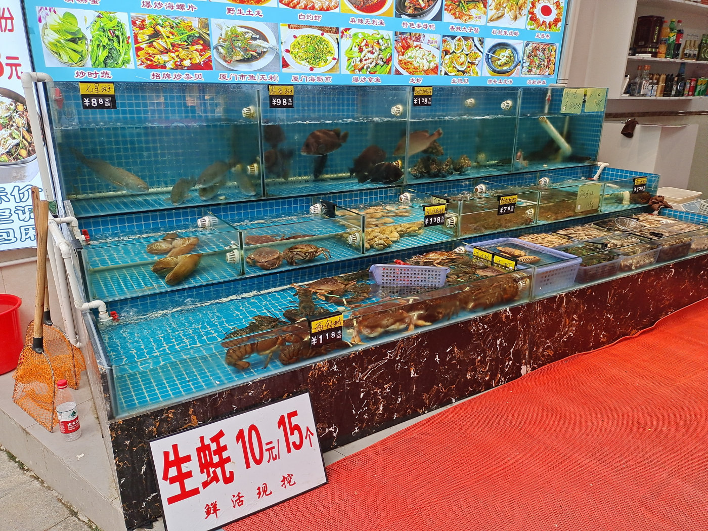 曾厝垵一日游攻略,曾厝垵旅游攻略