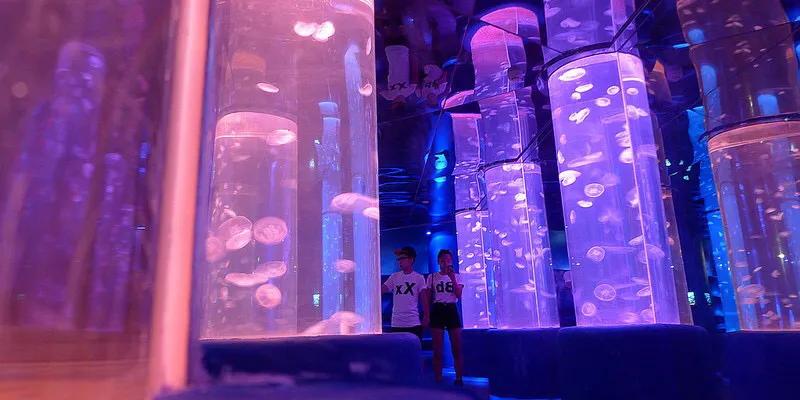 深圳暑假值得带孩子旅游的地方,深圳十大暑假室内必去景点