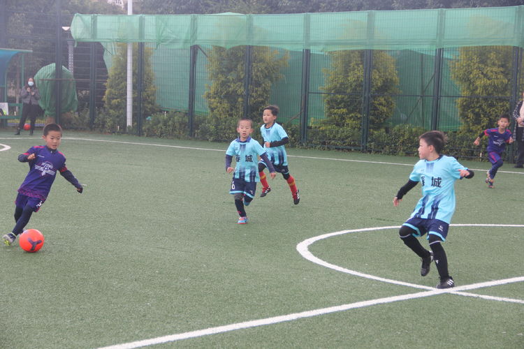 足球让人感动的体育精神,足球的体育精神