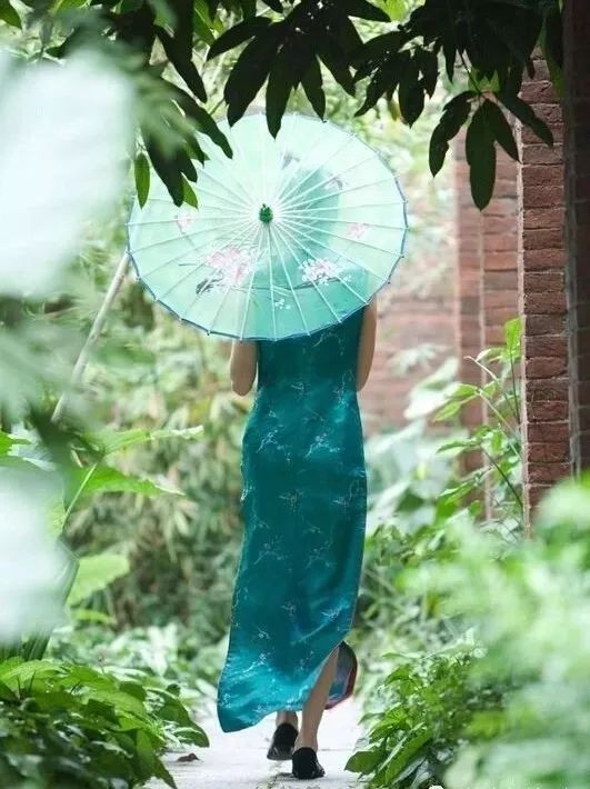 精品鉴赏图片,精品欣赏梅花