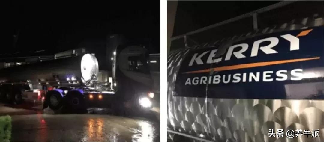 为什么爱尔兰金融发达,爱尔兰为什么是欧盟国