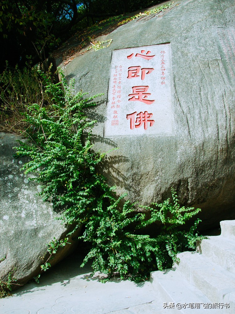 厦门有这样一个地方｜小和尚的邻居是大学生，古朴与摩登并存