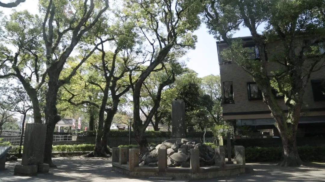 枪炮与玫瑰——明治维新以来的日军军国主义之路