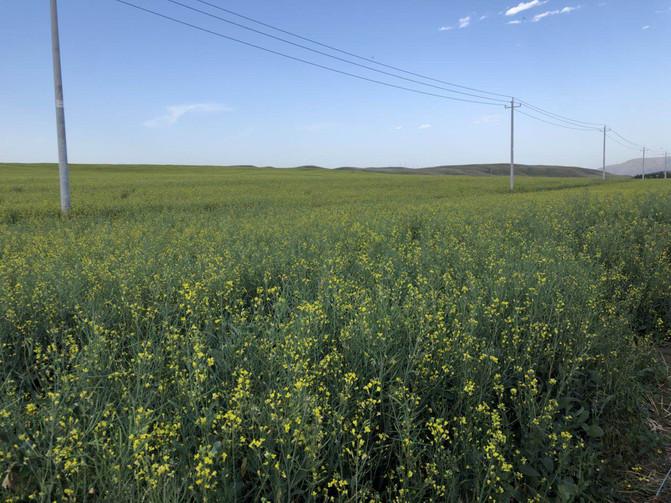 亲子游3天2晚郑州,暑假遛娃郑州