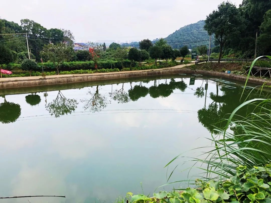 长沙生态农庄野炊采摘,长沙岳麓区垂钓农家乐