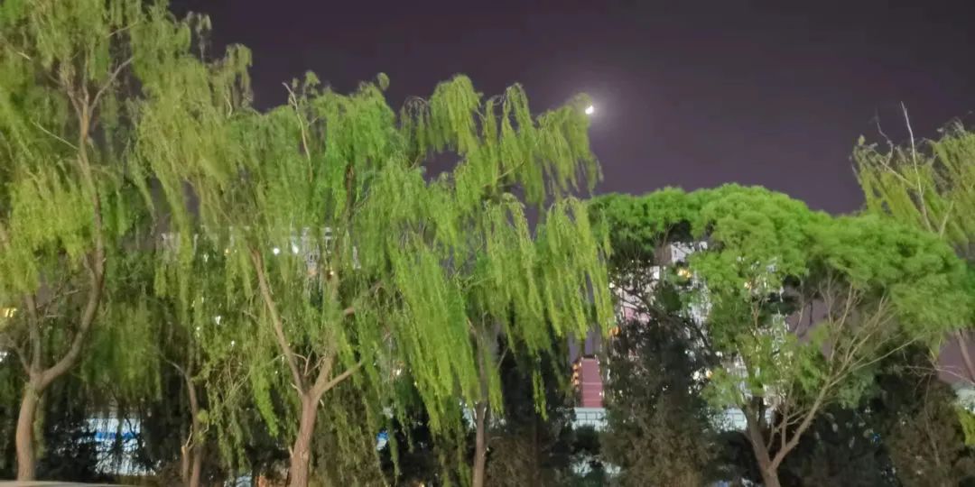 记我的一次旅行600字记叙文,记一次游玩经历600字