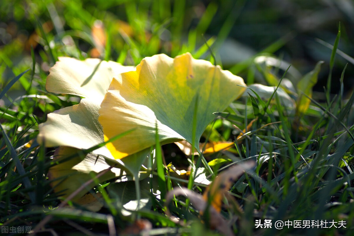 脾肾两虚气虚血瘀耳鸣,肝肾阴虚火旺耳鸣怎么调理