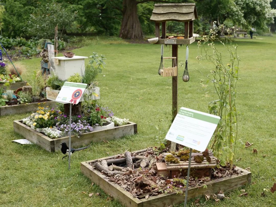 建一座完全不打药的生态花园,所有生命在这里和谐共处,值得收藏