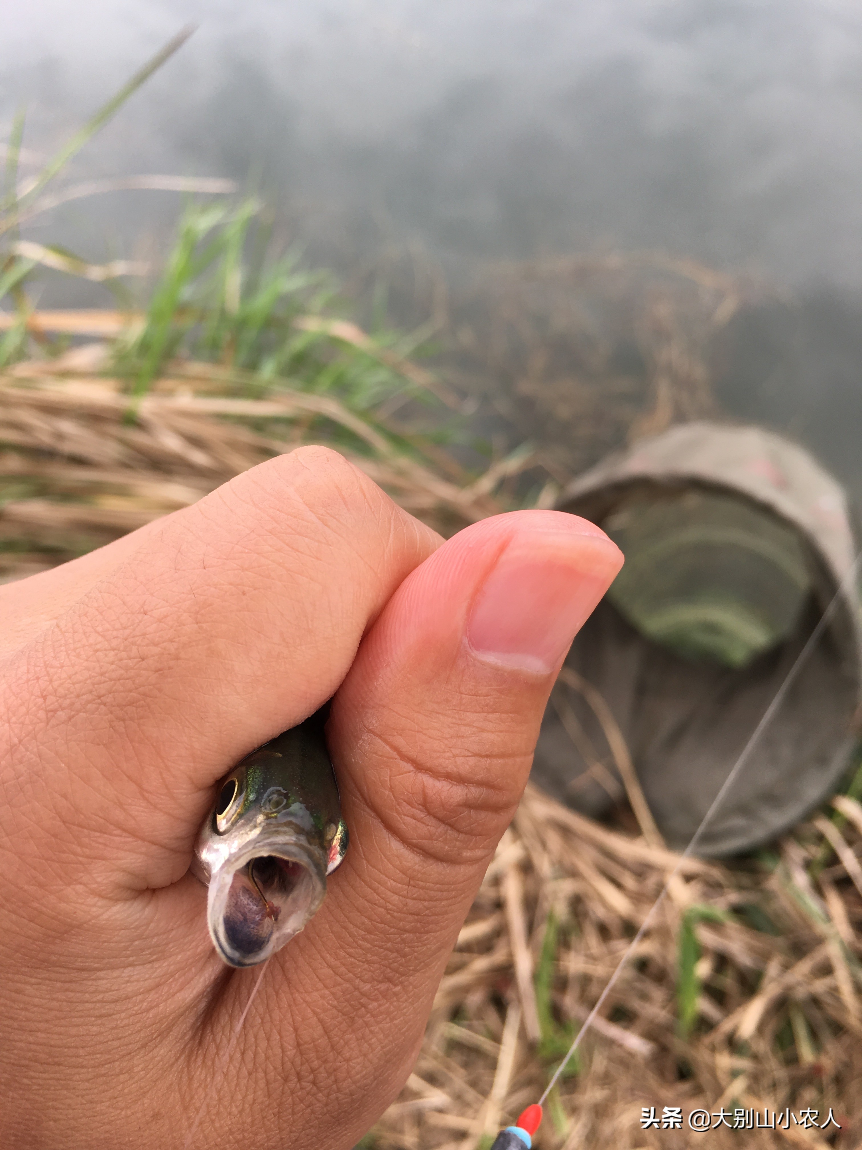 野钓翘嘴的正确方法与技巧,池塘浅水钓翘嘴最好方法
