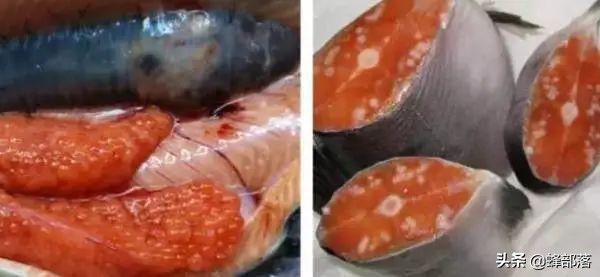 日本海水污染了中国海鲜还能吃吗,核污染入海日本民众看法