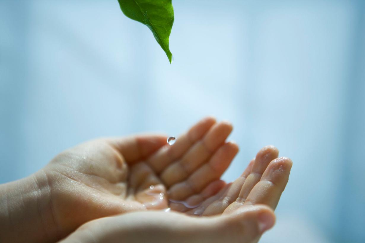 来自全国各地的三草两木,三草两木的特色是什么