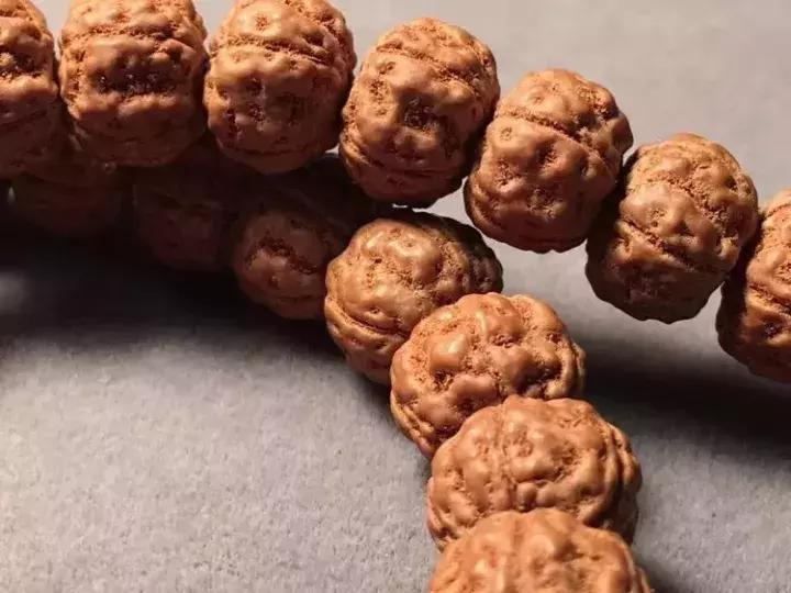 金刚菩提子手串知识大全,讲解金刚菩提的书籍