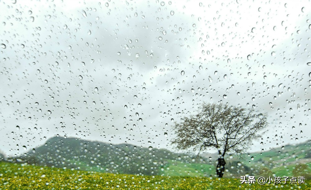 赠别的古诗有哪些,赠别诗古诗朗诵