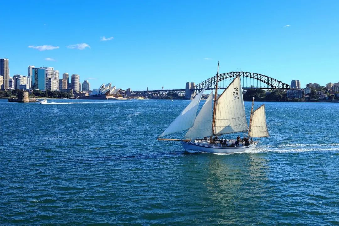 最新出入境记录查询法律规定,关于出入境最新通知