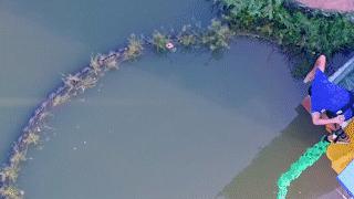 中秋国庆仅138元，两人同行玩转5A长鹿旅游休博园+童话动物王国