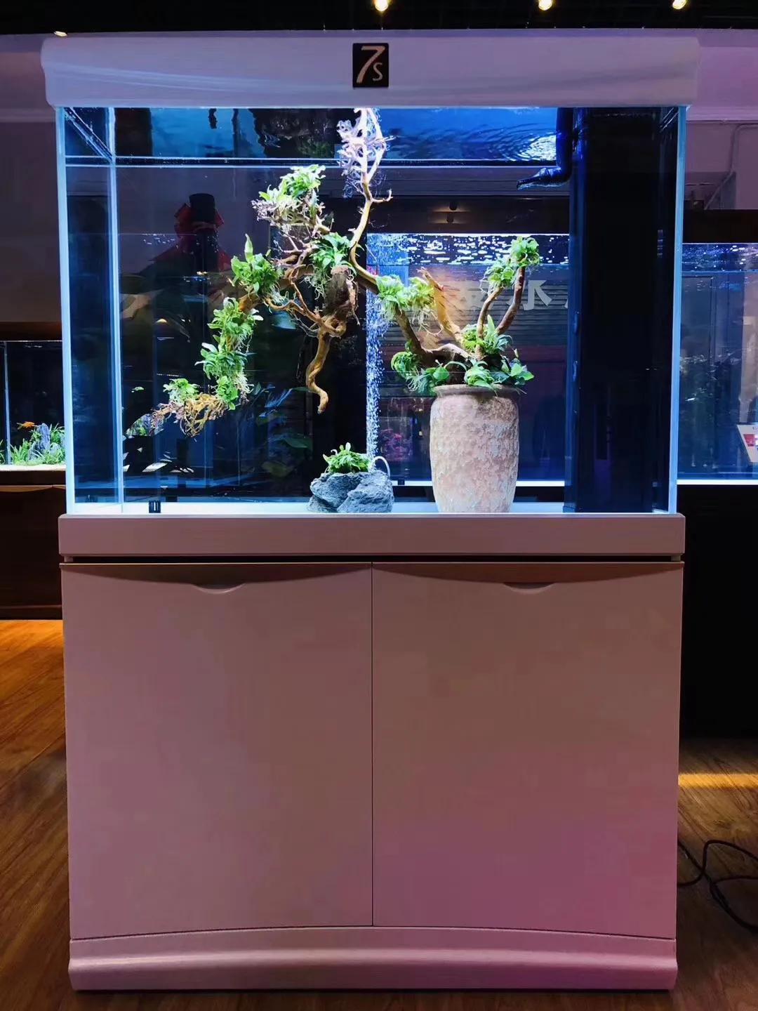 可丽爱鱼缸推荐,可丽爱鱼缸寿命