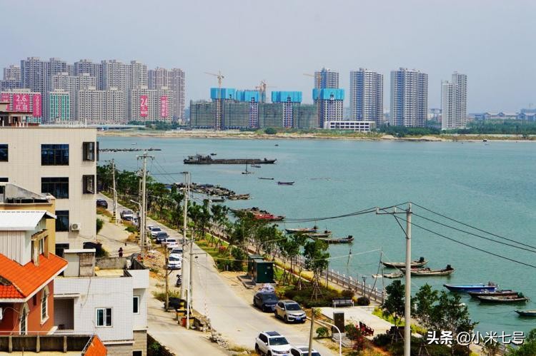 同安丙洲煎蟹哪家好吃,在同安吃海鲜