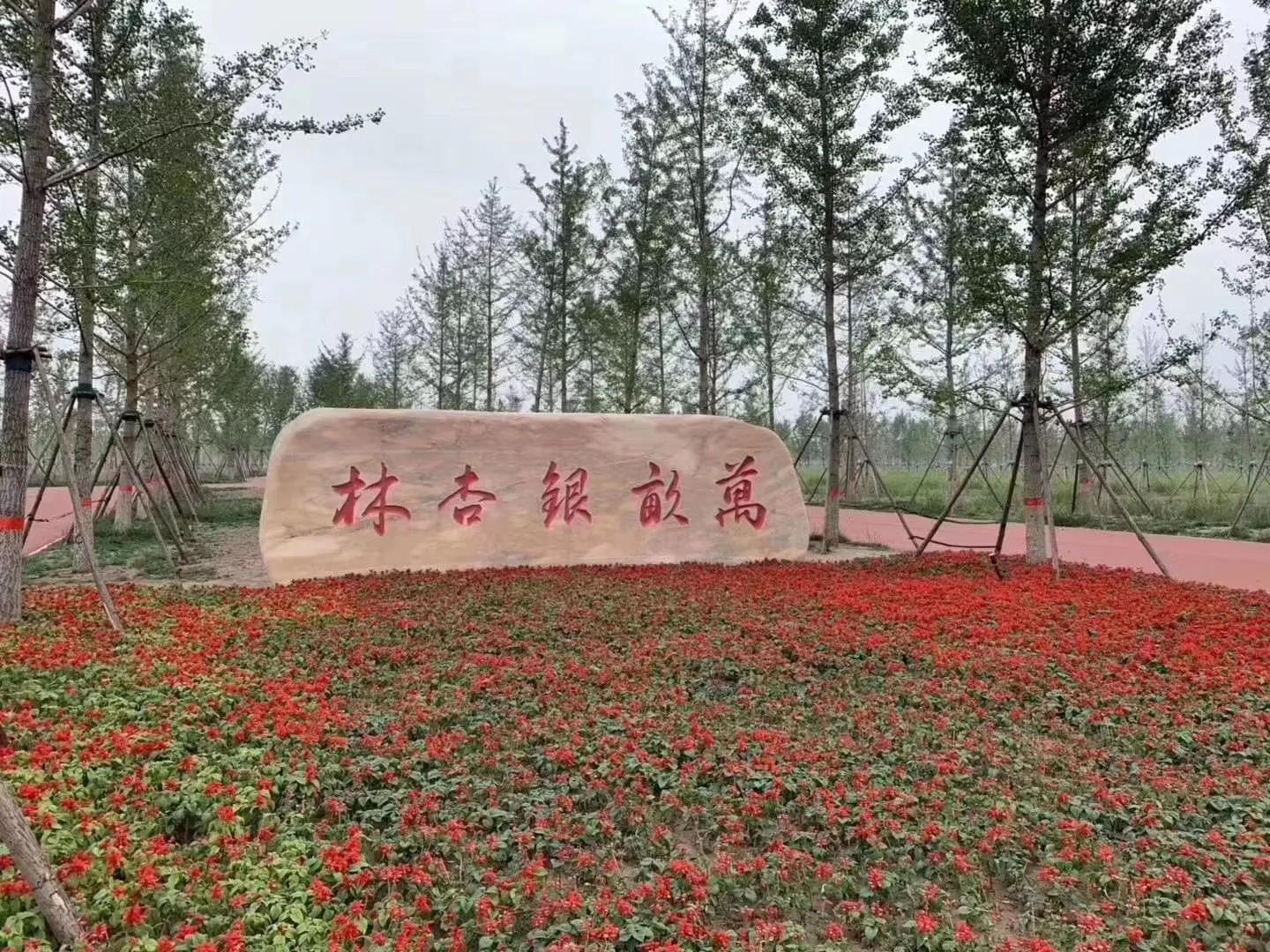 廊坊市大厂县潮白河孔雀城,潮白河孔雀城与北京一河之隔