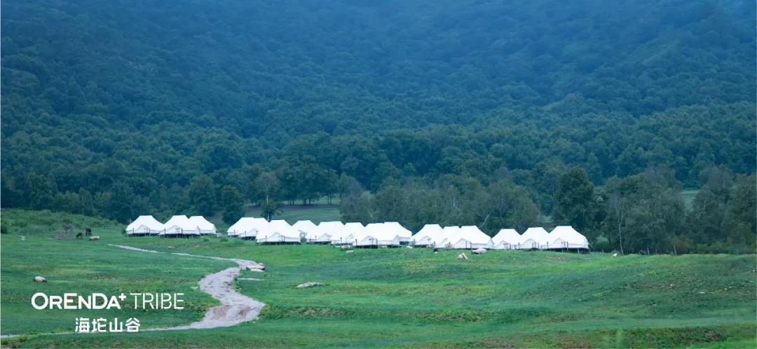 回望2020海坨耕耘路,以待2021山谷新美好