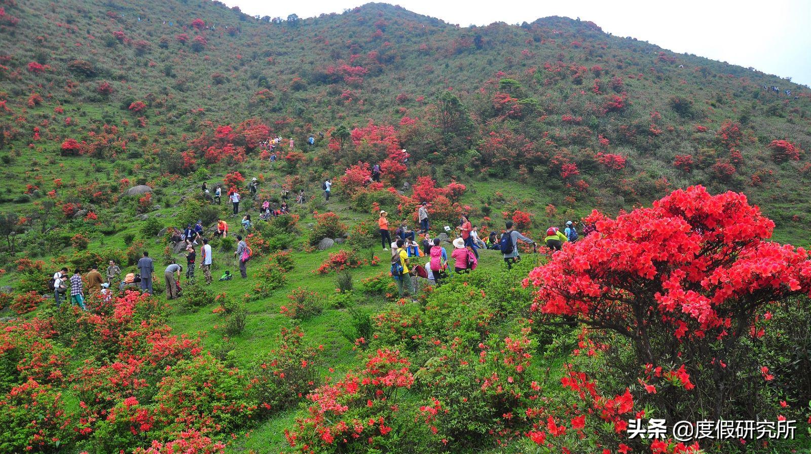 森林和山水,森林公园和森林湖畔
